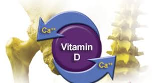 Lợi ích của vitamin D