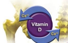 Lợi ích của vitamin D