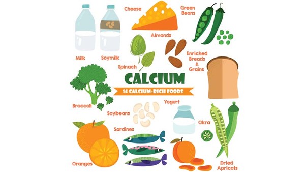 Dinh dưỡng và loãng xương: Vai trò của Calcium