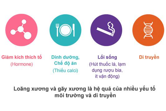 Các yếu tố nguy cơ của loãng xương