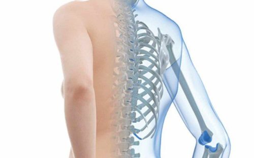 Vai trò của các marker chu chuyển xương trong biến đổi về mật độ xương: một nghiên cứu trên nam và nữ người Việt