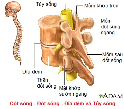 Hẹp ống sống: những điều cần biết